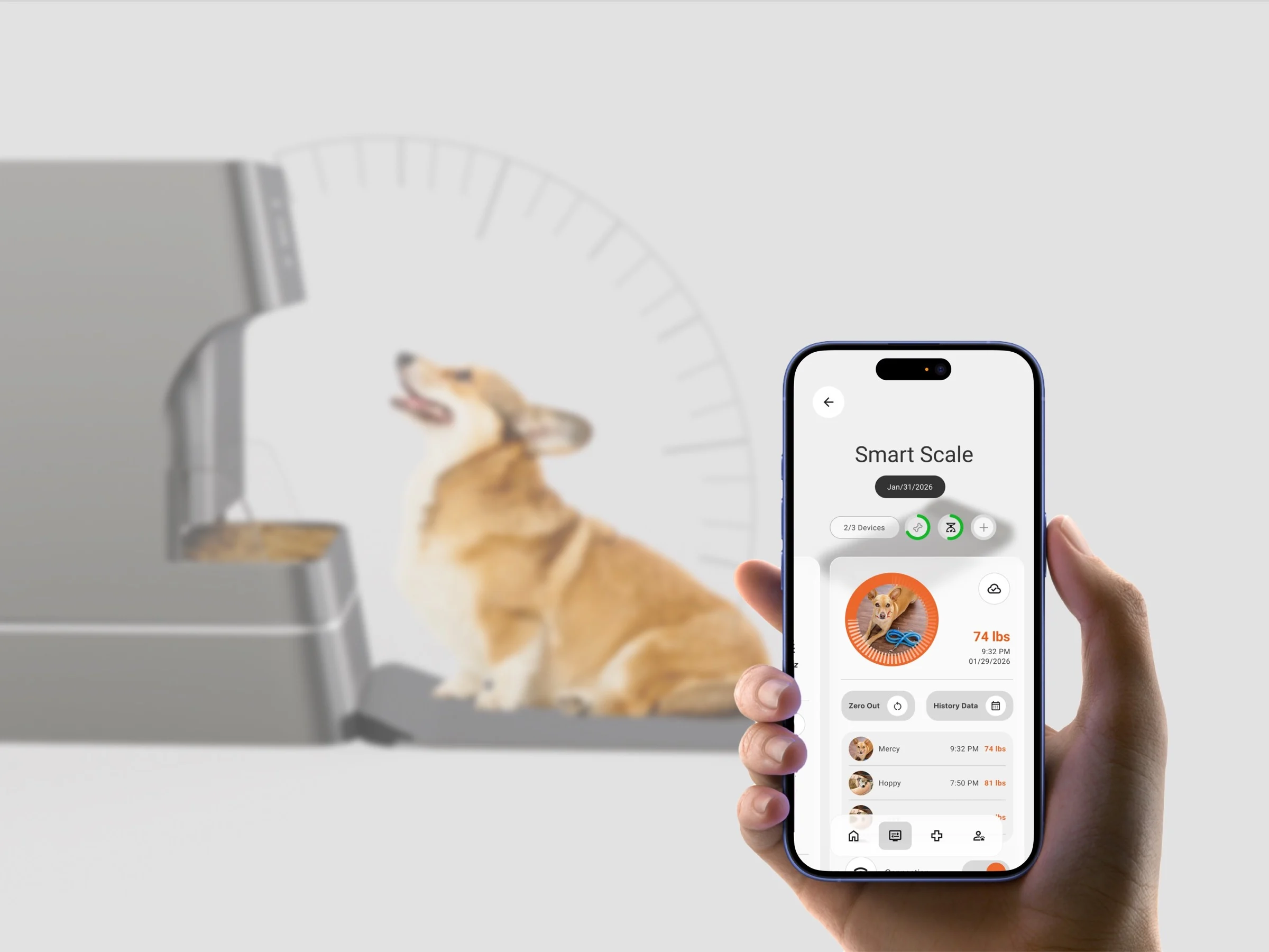 The FitFido app's Smart Scale screen held in front of the feeder, a corgi waiting beside it.