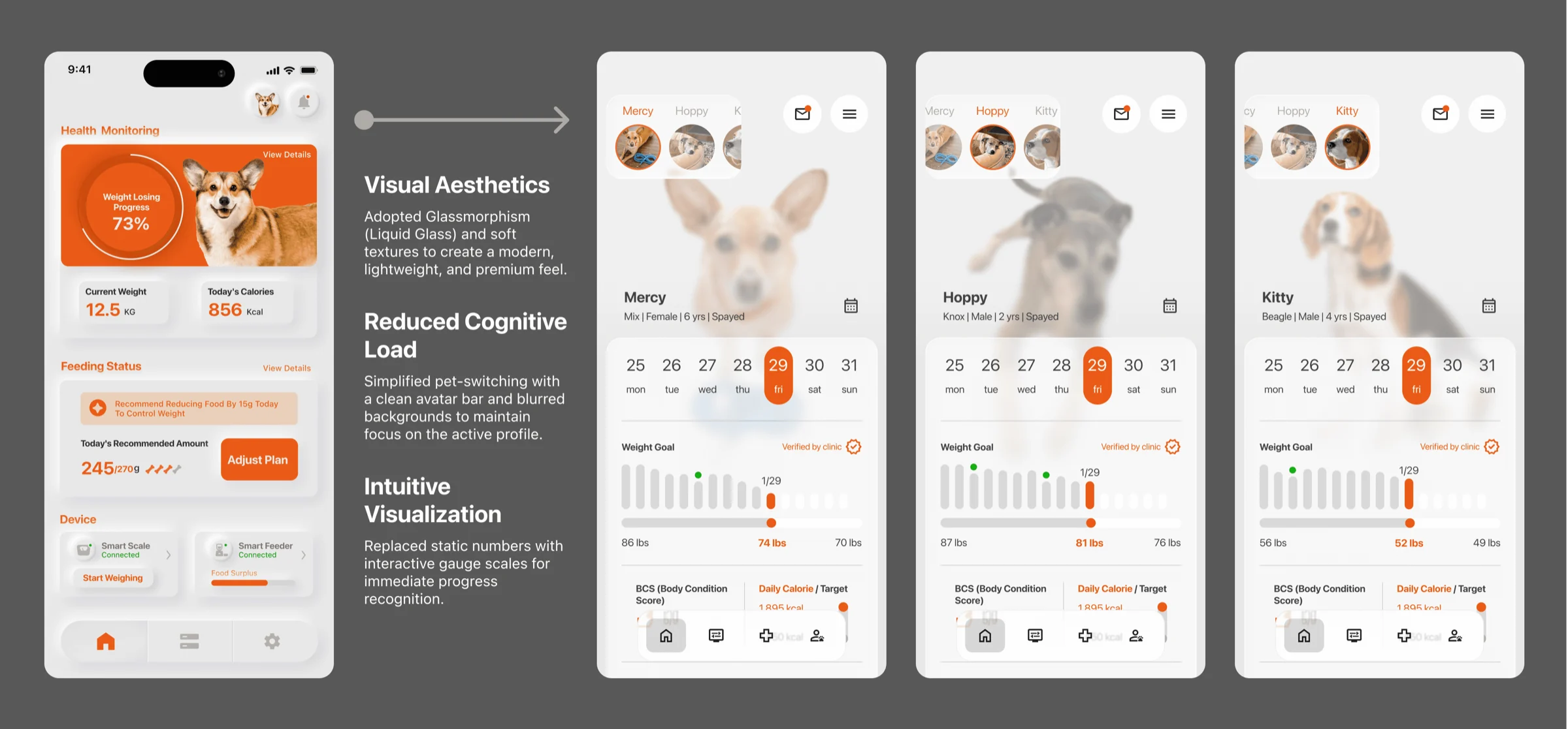 Annotated screens, FitFido app.