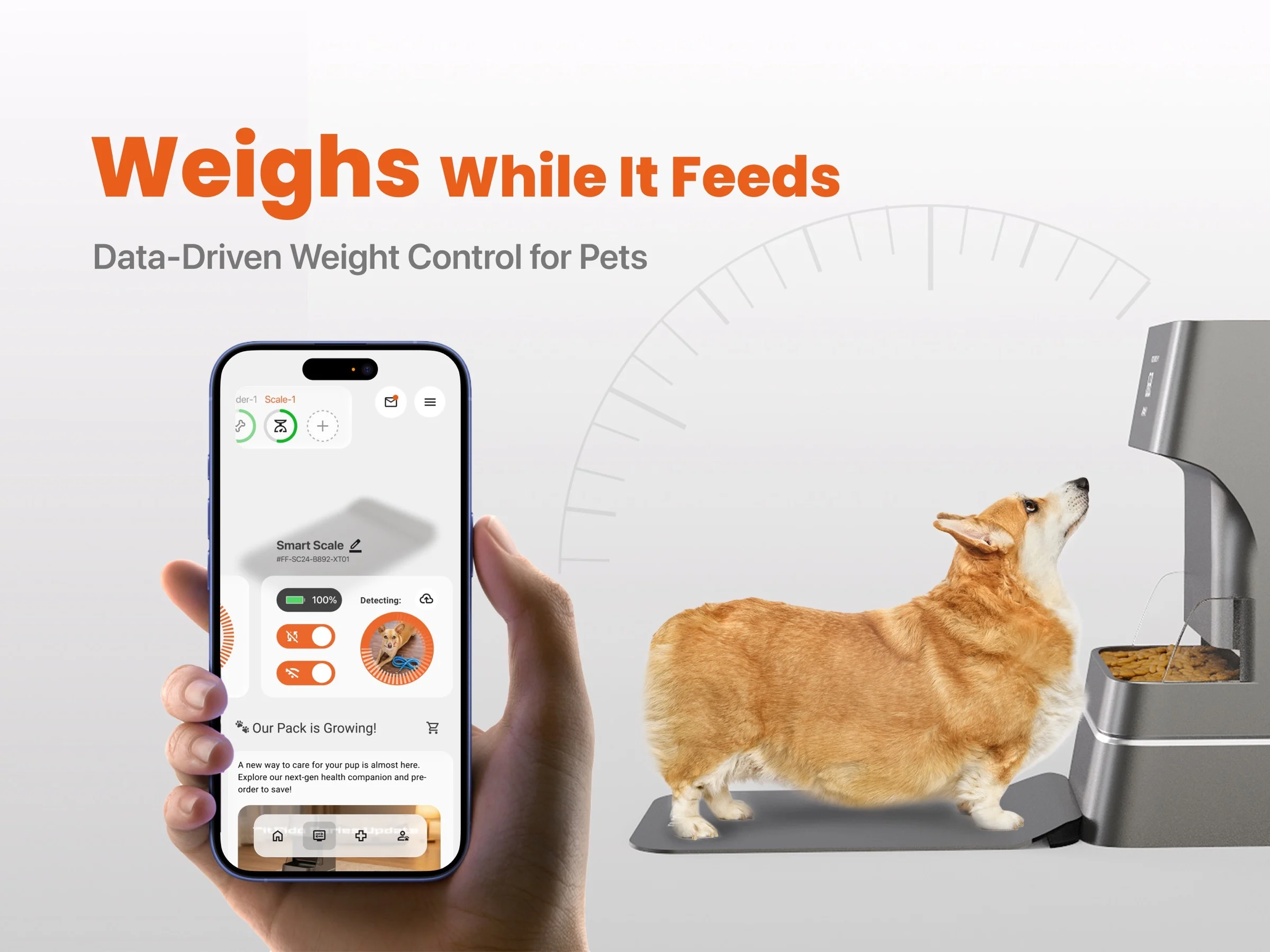 FitFido product render.
